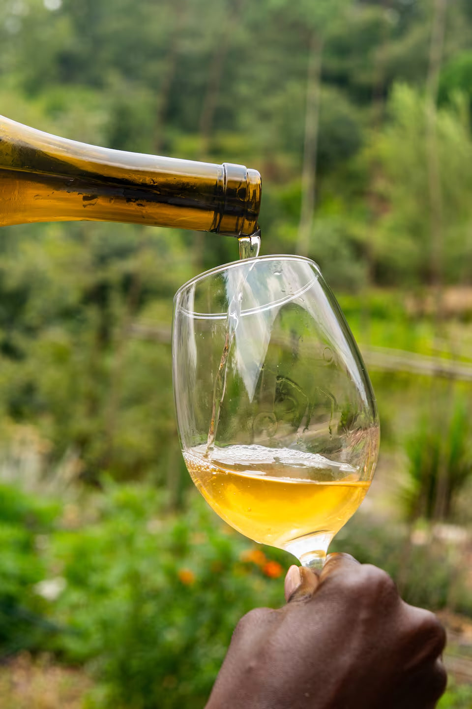Día entero con un productor de vino local.
