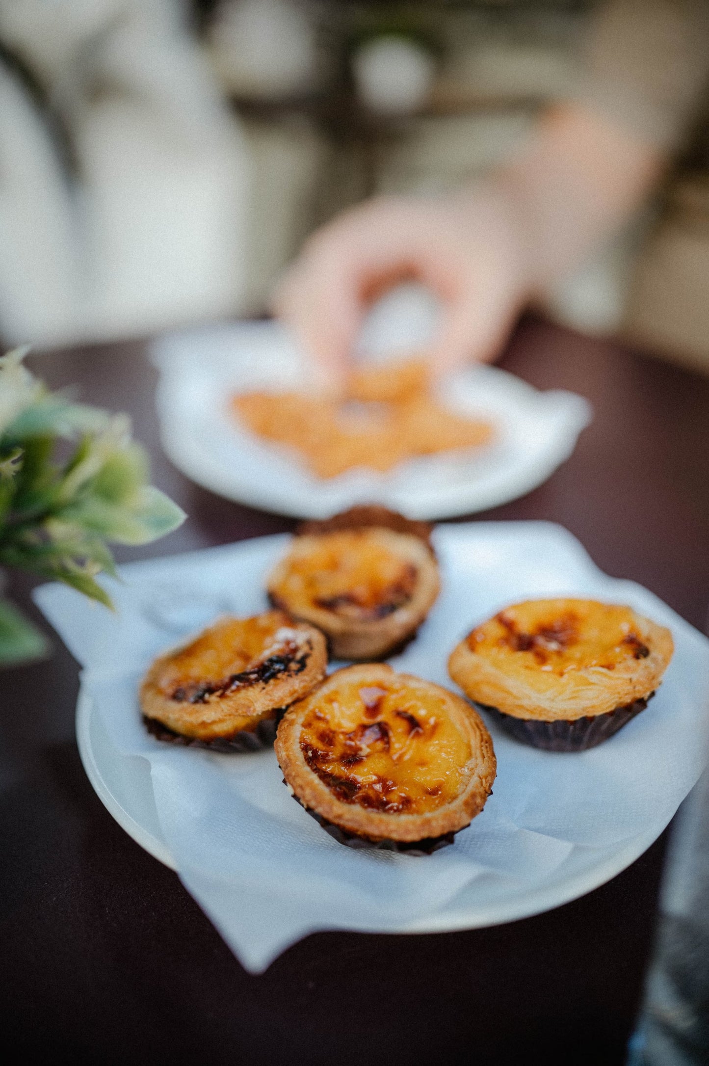 Taste the Tradition of Porto - Food & Wine - Twenty tastings
