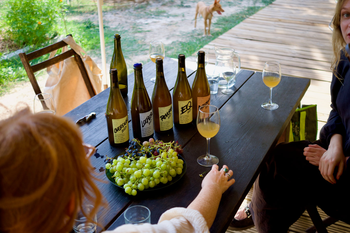 Wine & Food at a Organic Vineyard in Vinhos Verdes Region (4hrs)