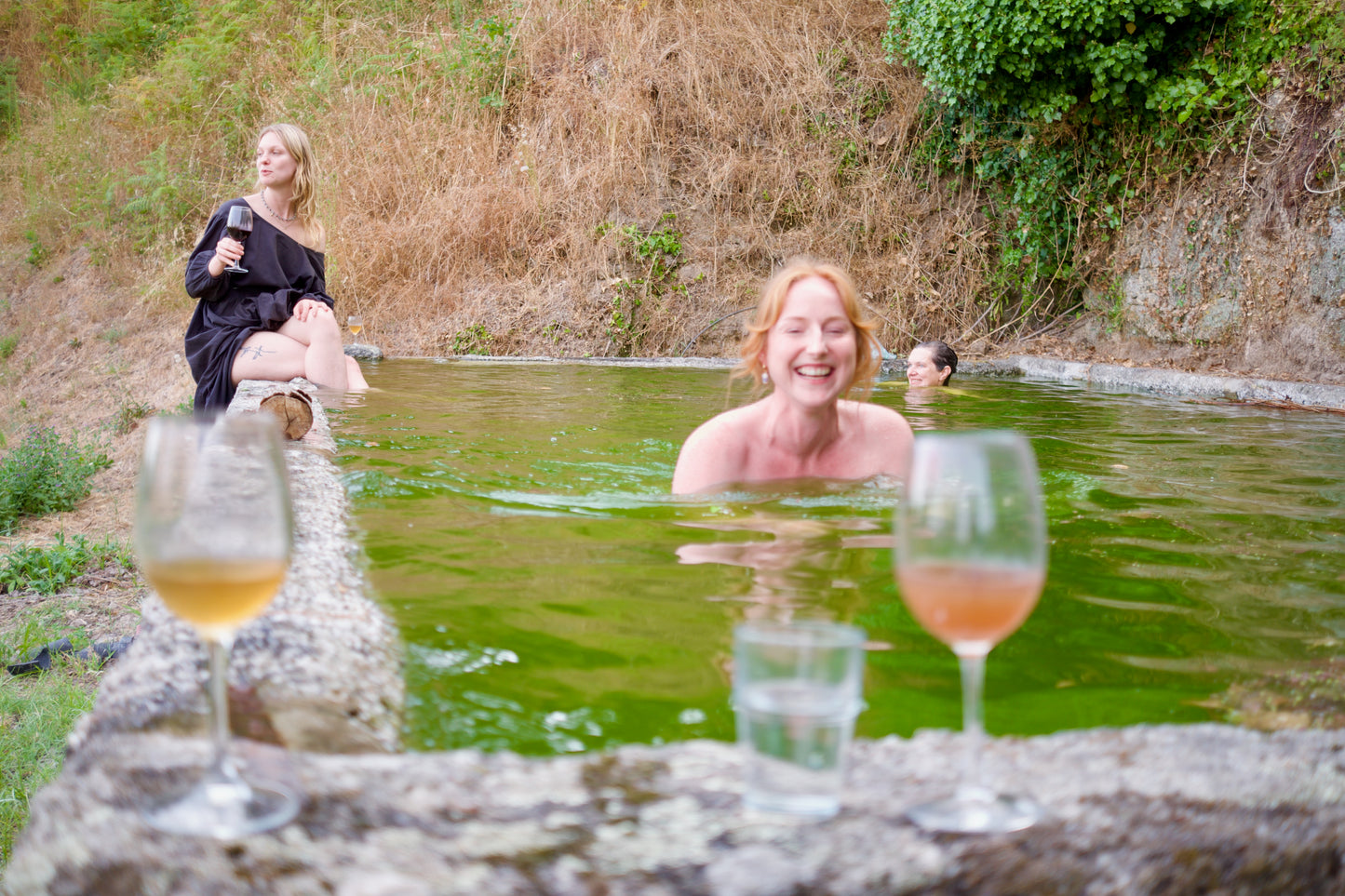 Wine & Food at a Organic Vineyard in Vinhos Verdes Region (4hrs)