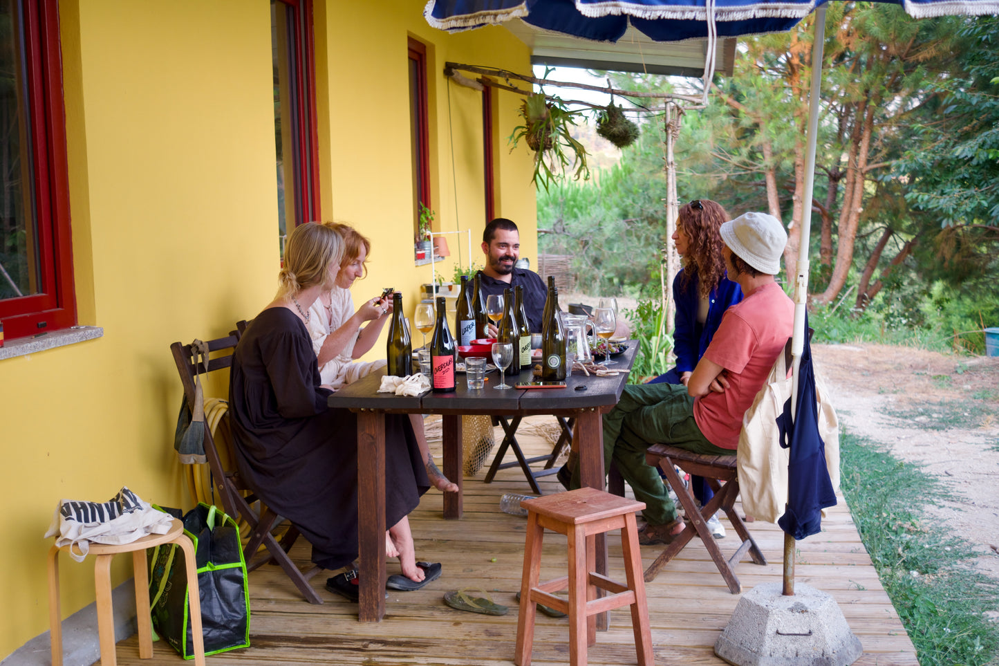 Wine & Food at a Organic Vineyard in Vinhos Verdes Region (4hrs)