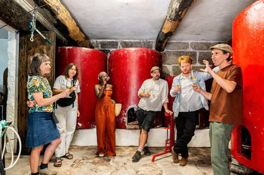 Wine & Food at a Organic Vineyard in Vinhos Verdes Region (4hrs)