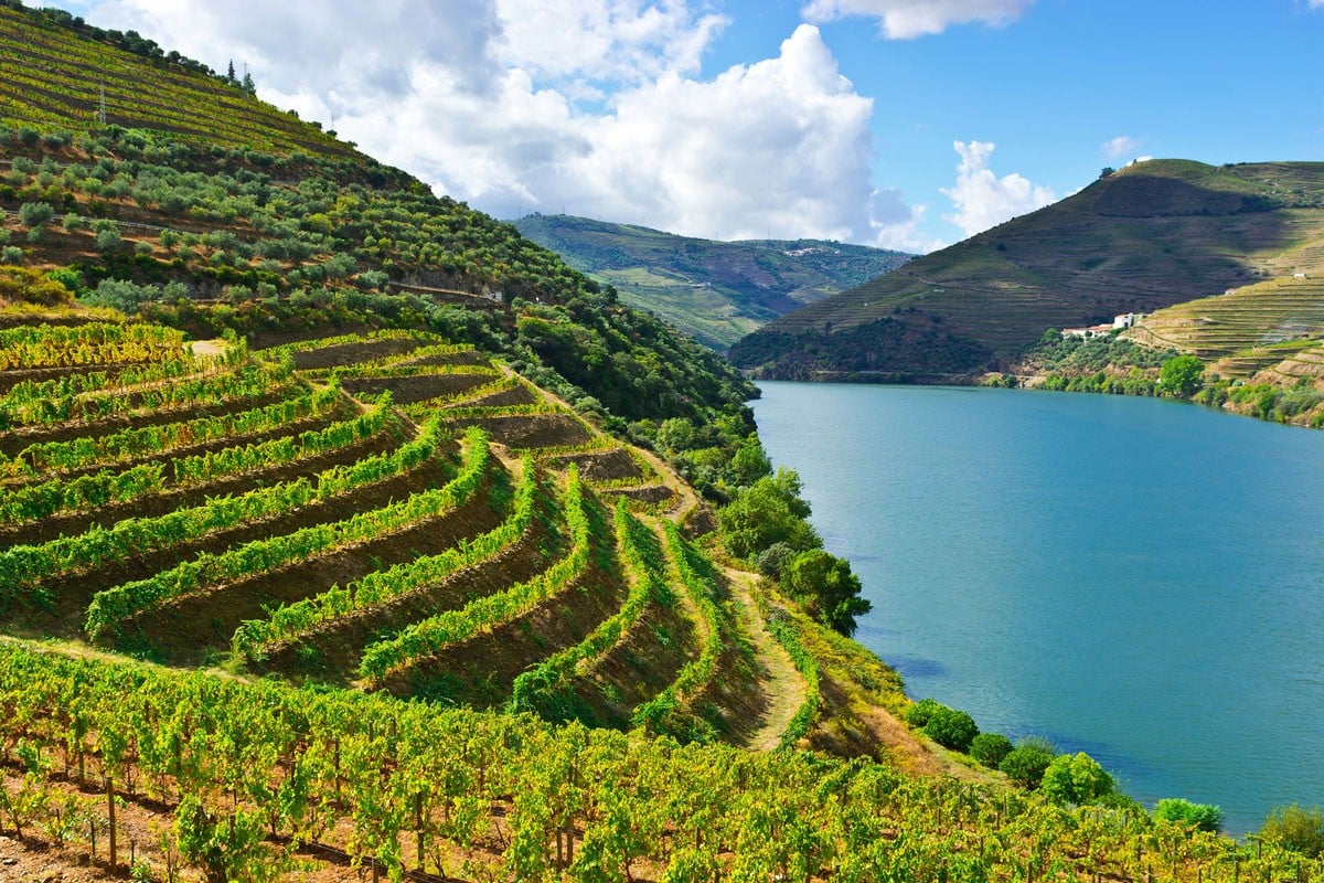 Douro Helicopter Tour with Winemaker in Half a Day (Private)